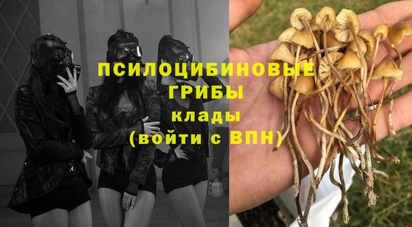 каннабис Алексеевка