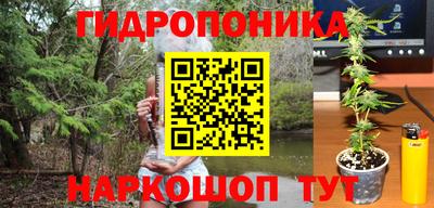 стаф Донецк