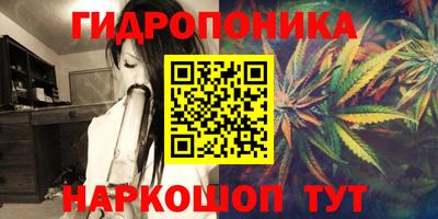 Альфа ПВП Жуковский