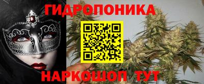 стаф Донецк