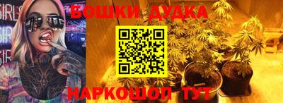 стаф Донской